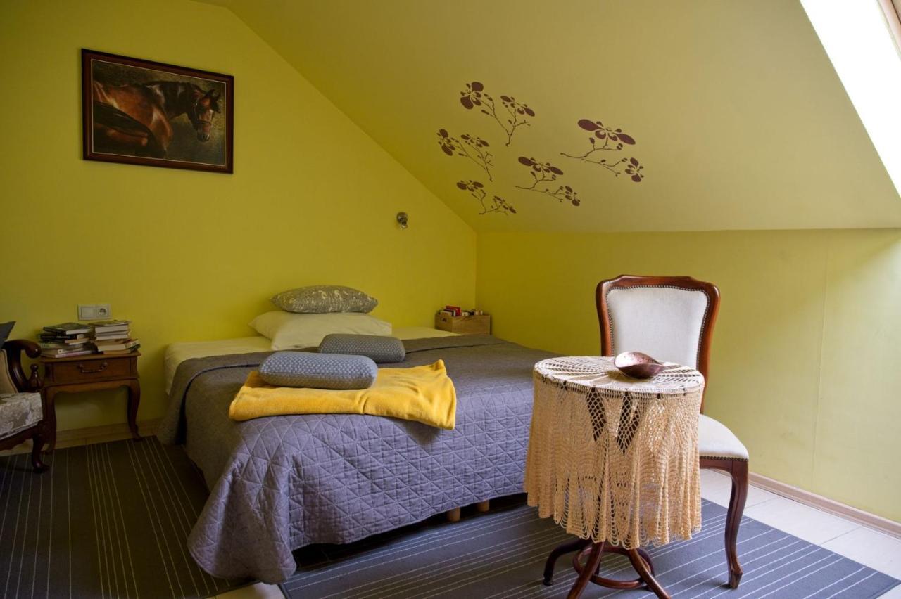 Medison Family Boutique B&B Кельце Экстерьер фото